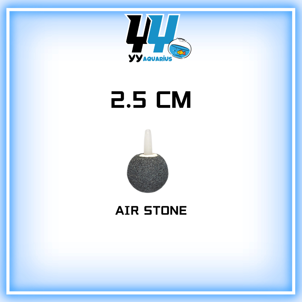 YYAQUARIUS Air Stone Bubble Stone Aeration Stone Batu Bubble Oxygen ...