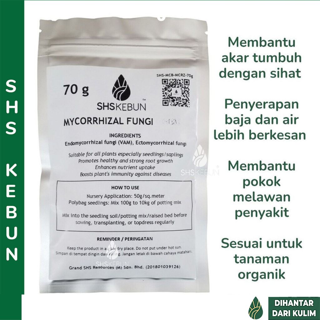 Baja Akar Mycorrhizal Fungi 菌根菌 根肥 Kulat Tanah Mycorrhizae Mychorizal