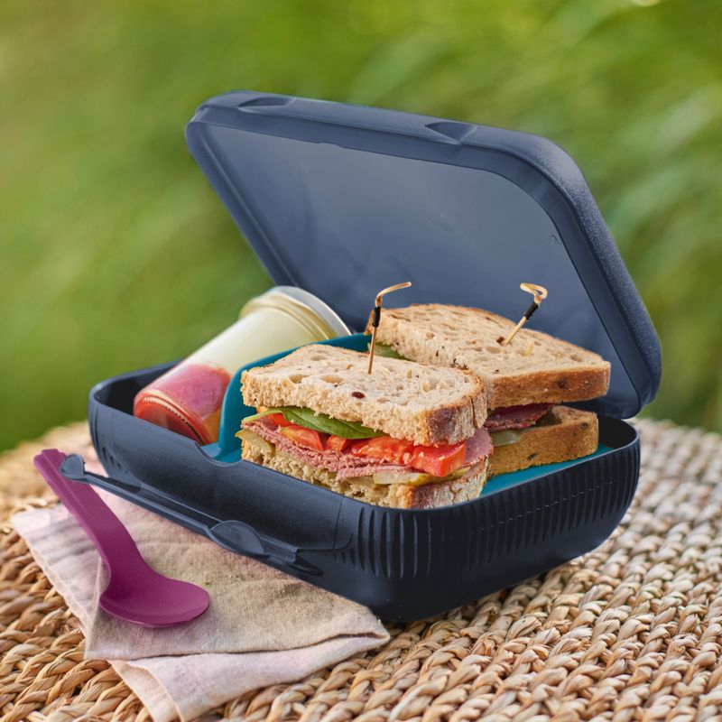 Tupperware At Lunch Box (1pc) | Shopee Malaysia