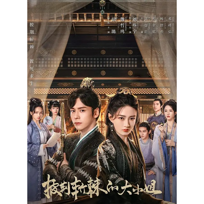 #披荆斩棘的大小姐 #2024 #现货 #连续剧 #电视剧 #中国剧 #Ready-stock #Drama #China Drama # ...