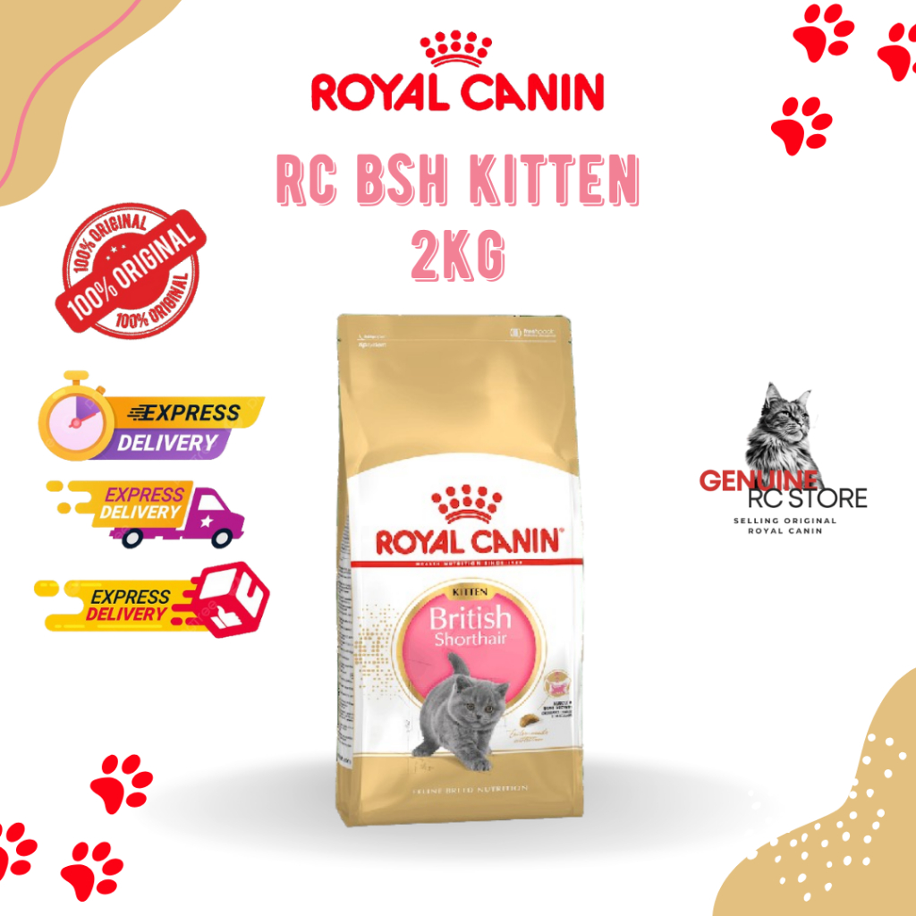 Royal Canin British Short Hair Kitten 2KG RC BSH Kitten 2KG Shopee Malaysia