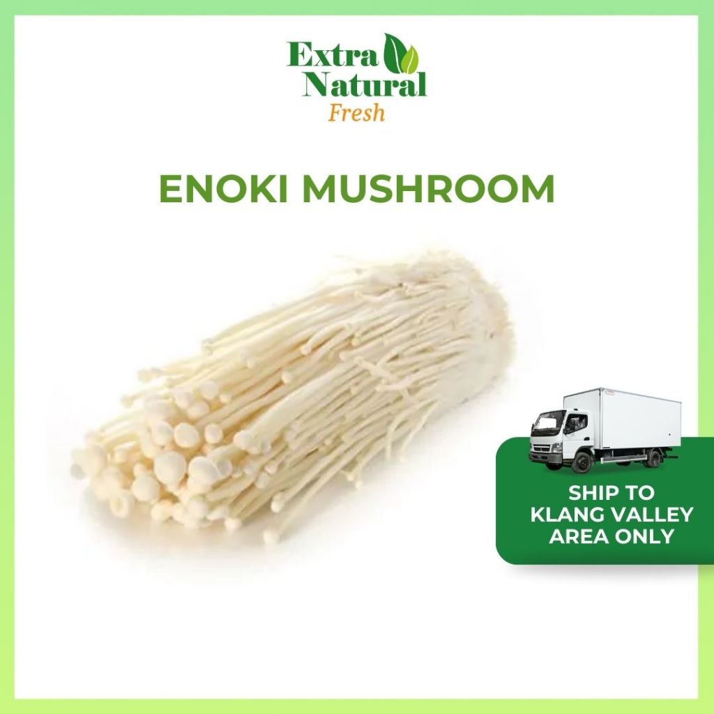 Fresh Enoki Mushroom 1pkt |Mushroom| [Extra Natural Fresh] | Shopee ...