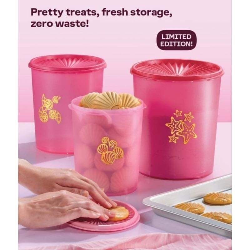 3 Sizes: TUPPERWARE Seashell Deco Canister Gift Box /LAT One Touch ...