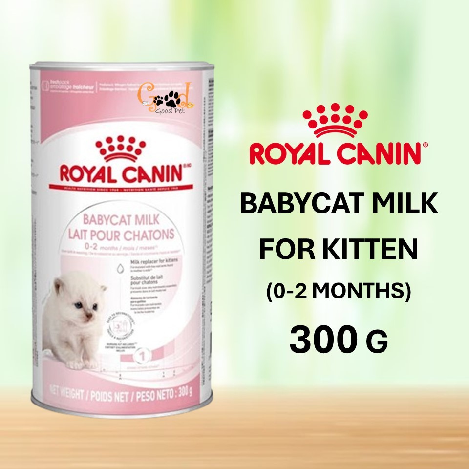 Royal Canin Babycat Milk Powder for kitten 0-2 months 300 G (EXP:04/ ...