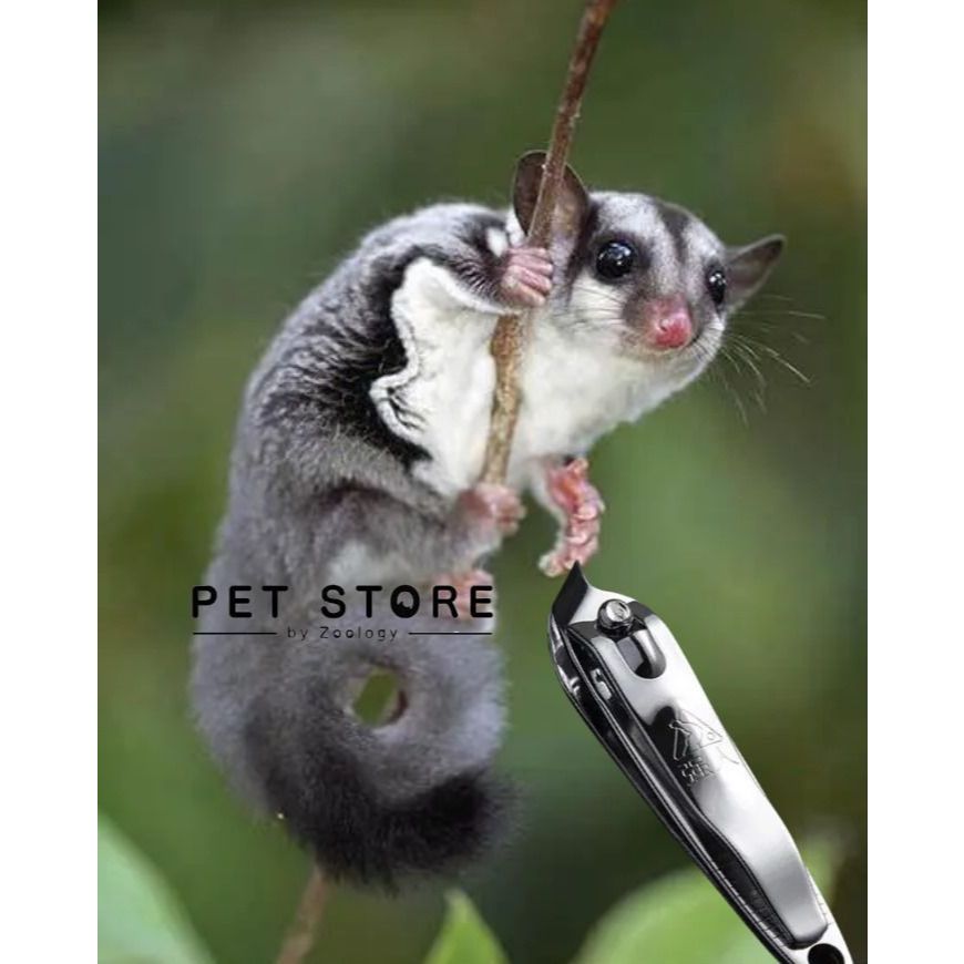 Sugar glider nail trimmer sales