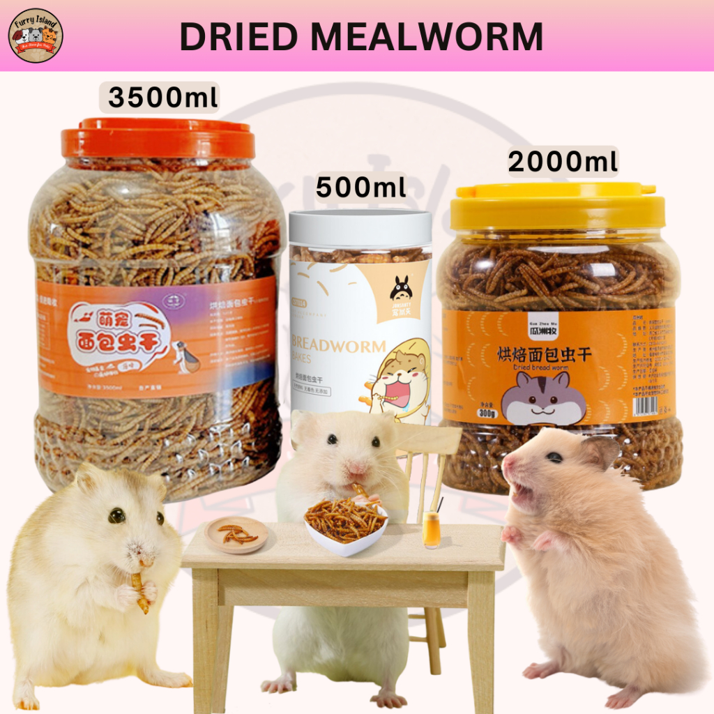 Dried Mealworm 500ml/2000ml/3500ml NonGMO Treats Hedgehog Sugar Glider