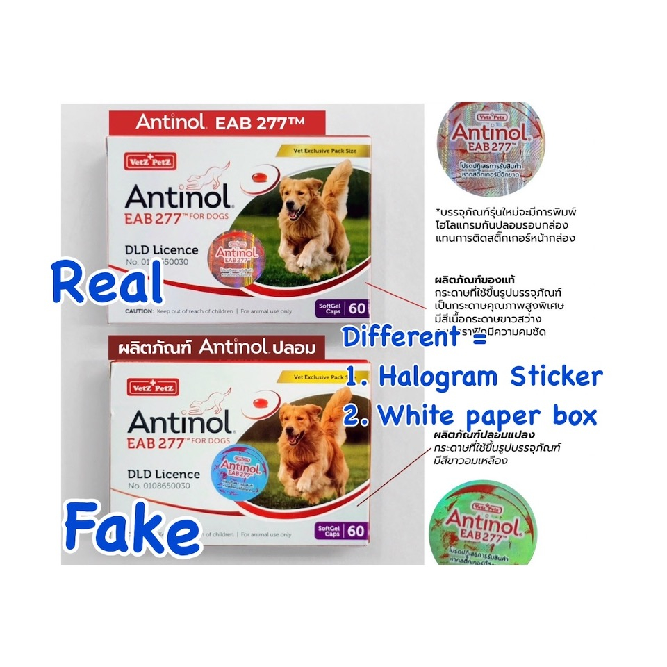 ANTINOL 100 Authentiv Rapid Dog 60 Capsules Proven Joints Supplement