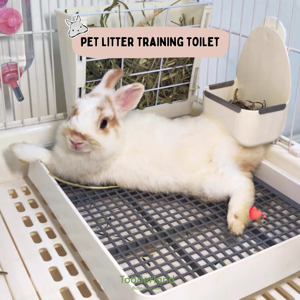 Pet Toilet Litter Potty Training [Rabbit, Guinea Pig, Chinchilla, Dog ...