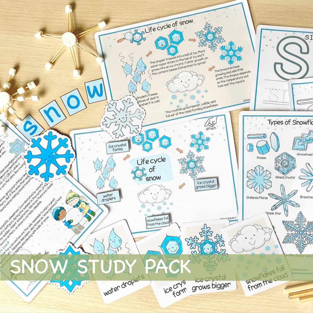 (PDF) Snowflake busy book 8 pages kindergarten SOFTCOPY PRINTABLE ...
