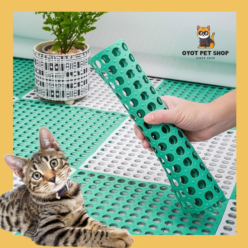 Rabbit Scratching Cage Floor Floor Roma