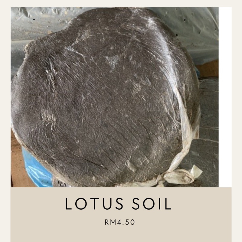 tanah liat untuk tanaman air lotus soil Shopee Malaysia