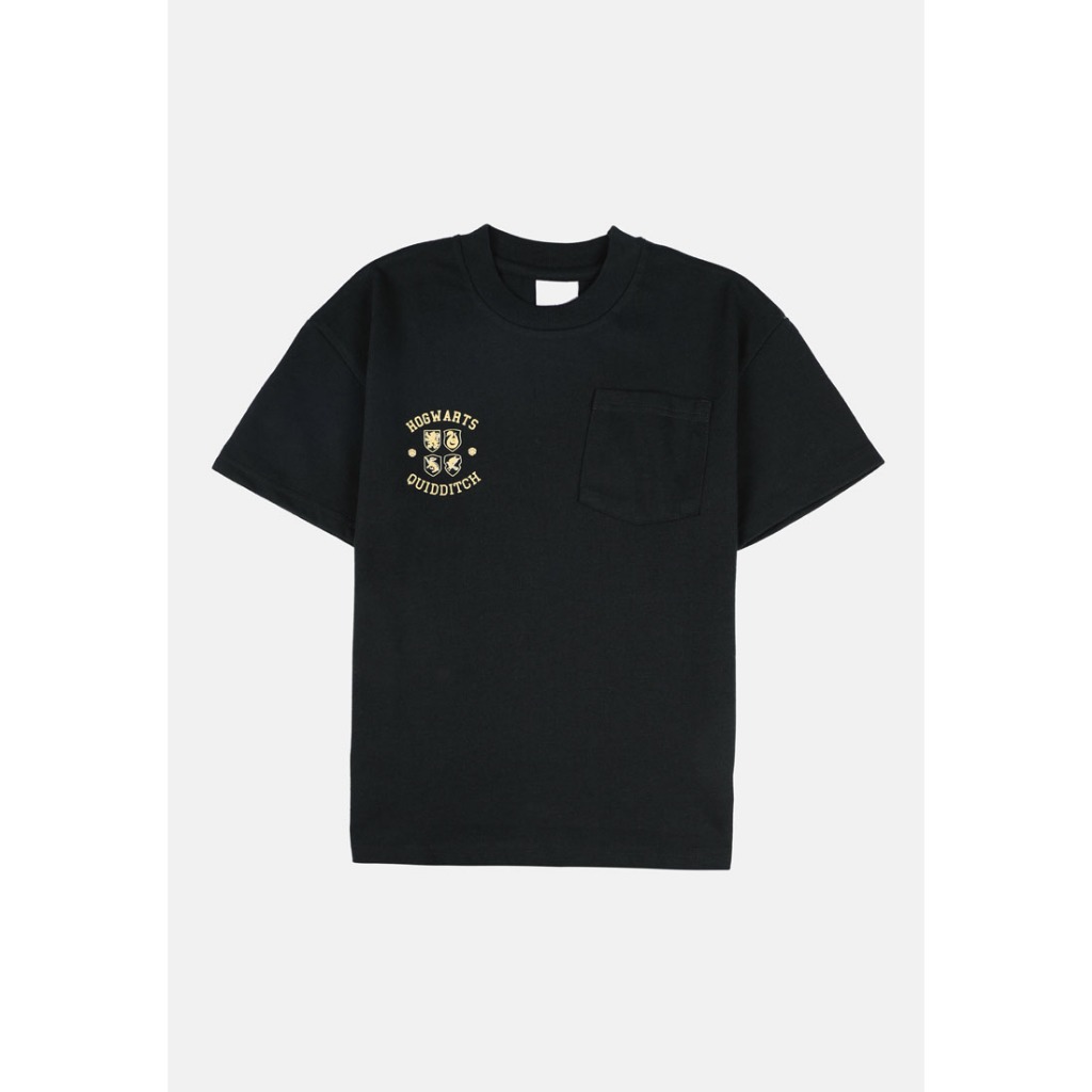 Cheetah Kids Harry Potter Boy Short Sleeves Roundneck Tee - CJ-92740(D