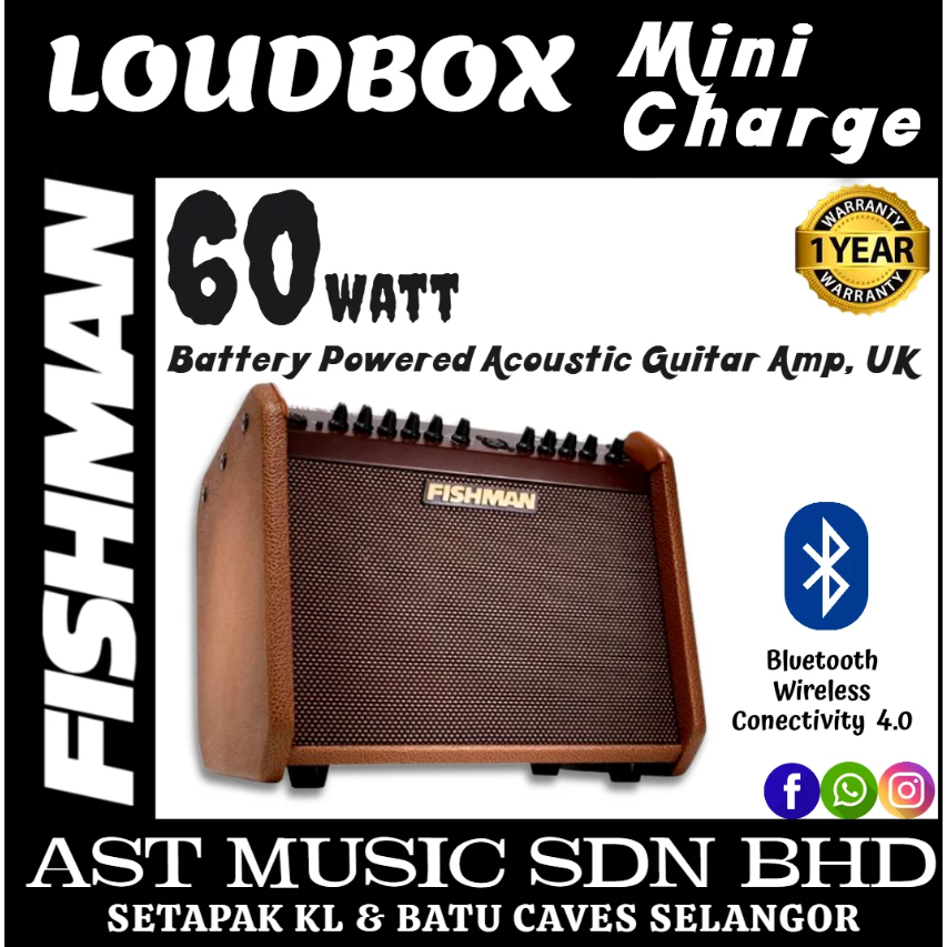Fishman Loudbox Mini Charge 60 Watt Battery Powered Acoustic Guitar