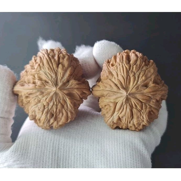 0577 门墩狮子头全品文玩核桃一物一拍Wen wan walnut hetao | Shopee