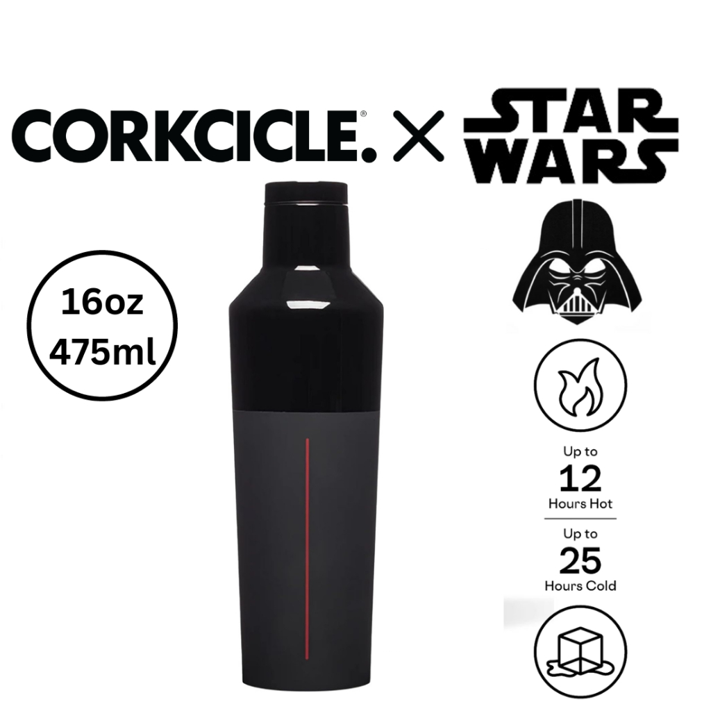 Corkcicle Cantine 750ml - Acier inoxydable brillant Flamingo - 25oz. Bouteille d'eau
