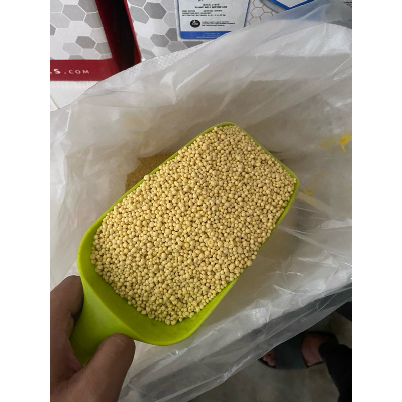 BAJA SUBUR GOLDEN BEAN Garsoni NPK 16-16-16+5S+TE (SOP BASED) 1 KG ...