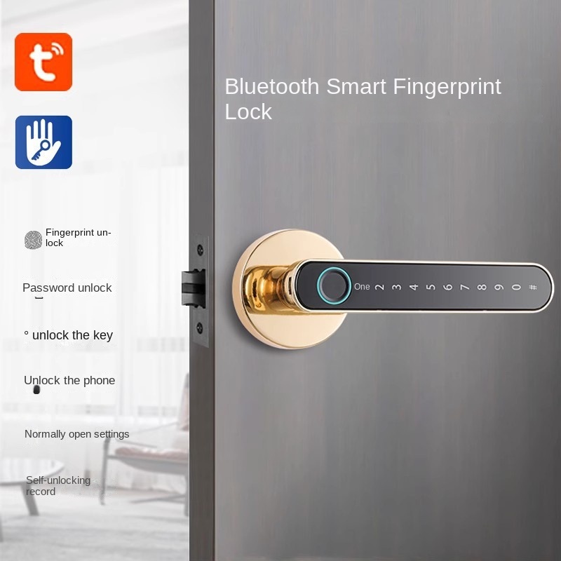 Semiconductor Fast Fingerprint Handle Door Lock TUYA Or Smart Life APP ...