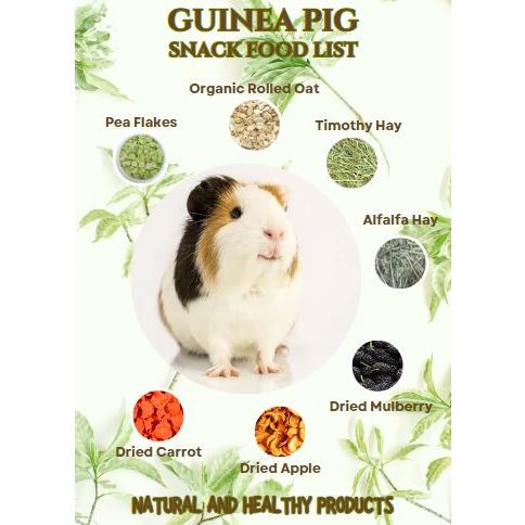 PAWSTER GUINEA PIG SNACKS MAKANAN TIKUS BELANDA Shopee Malaysia