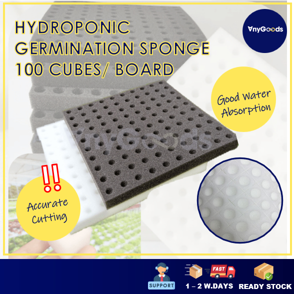 [100 CUBES] AnyGoods Hydroponic Germination Sponge With Holes | Span ...