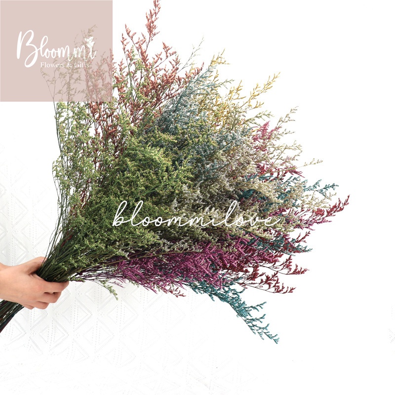 CASPIA PRESERVED 120G Dried Artificial Bouquet Flower Living Room Home ...