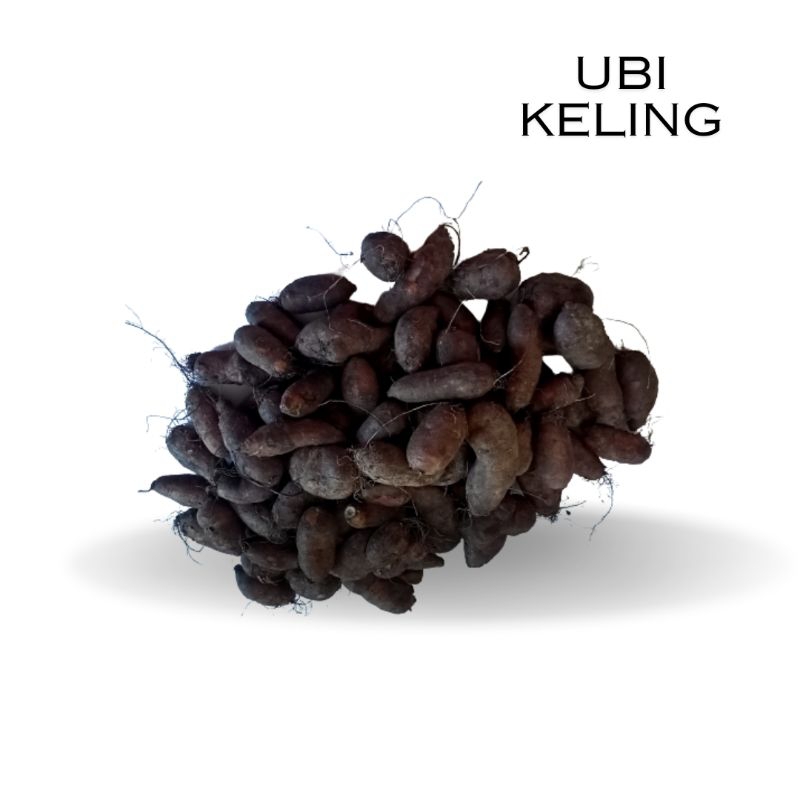 UBI KELING / KEMILING / KEMILI Ready Stock | Shopee Malaysia