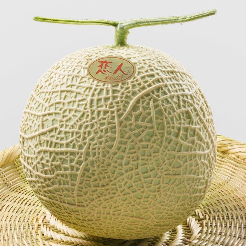 [RARE SEEDS/稀有品种] Japan Kumamoto Koibito Melon Seeds/Benih 10 pcs ...