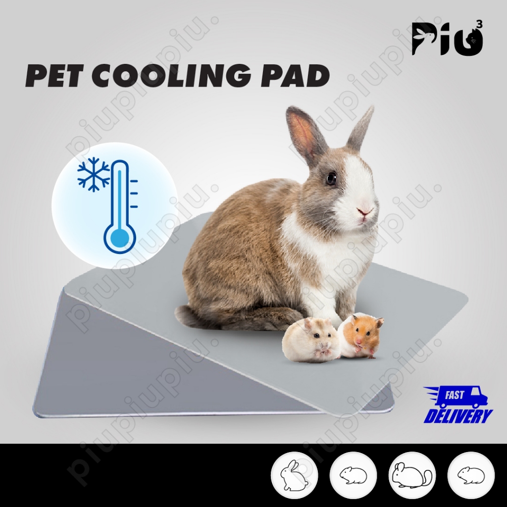 [24HR SHIP] PET COOLING PAD Rabbit Guinea Pig Chinchilla Hamster Anti Heat Pad Aluminium Cooling