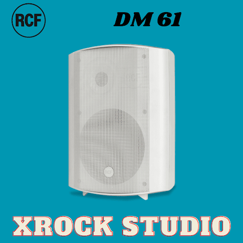 dm6161