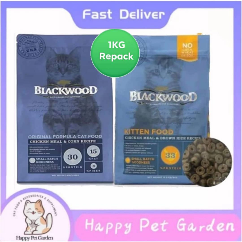 Blackwood kitten store