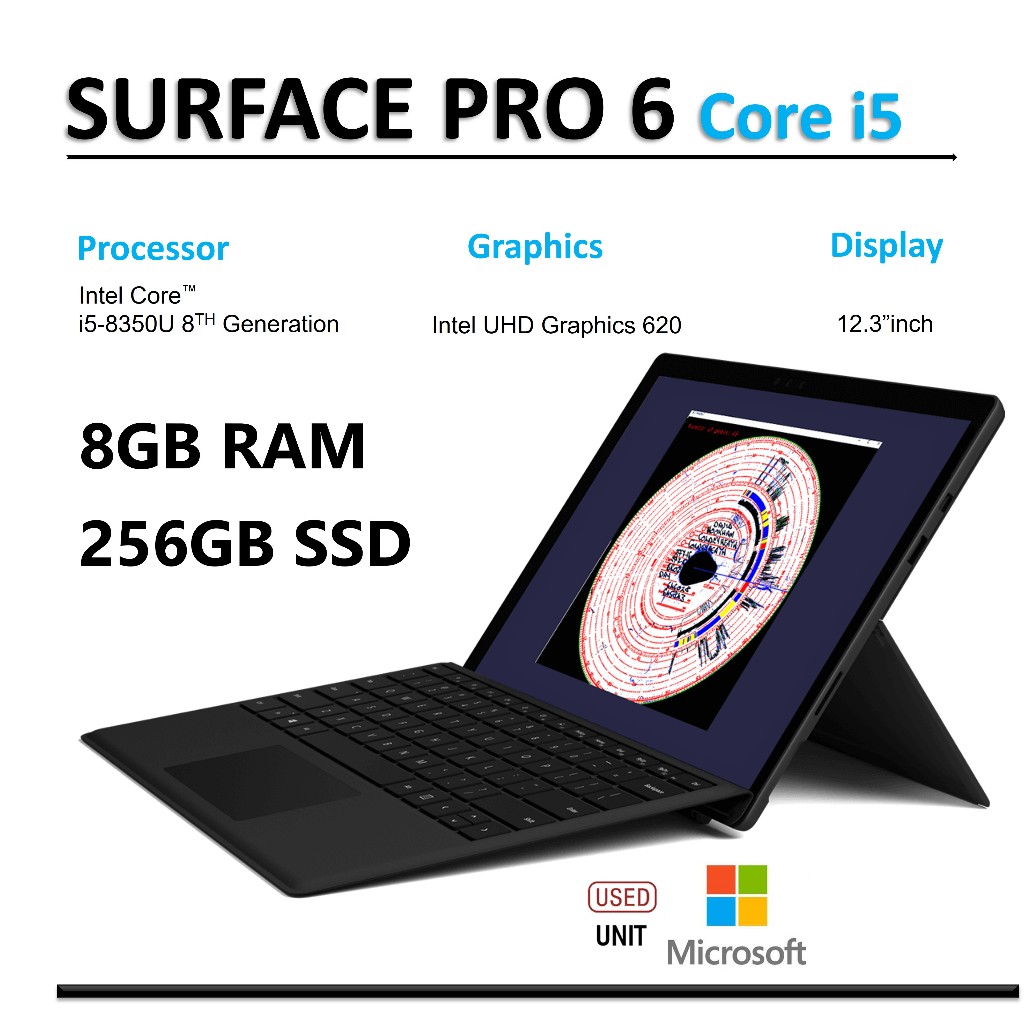 Microsoft Surface Pro (2736 x 1824) Touch Screen (i5-8350U