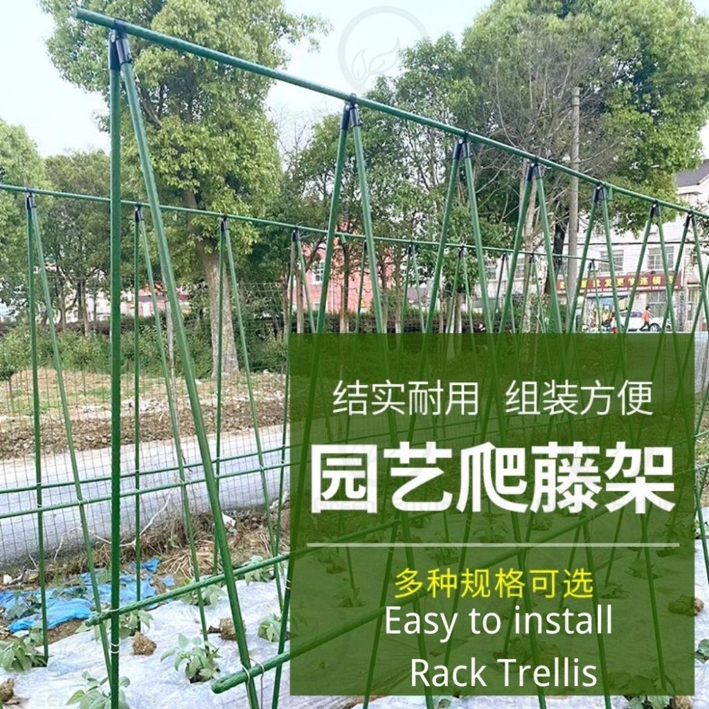 11mm 葡萄架 Garden Trellis Climbing Stand Plant Support Stick Bar Rack Rak ...