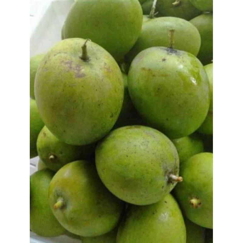 Pelam Masam/Mangga Muda 1KG | Shopee Malaysia