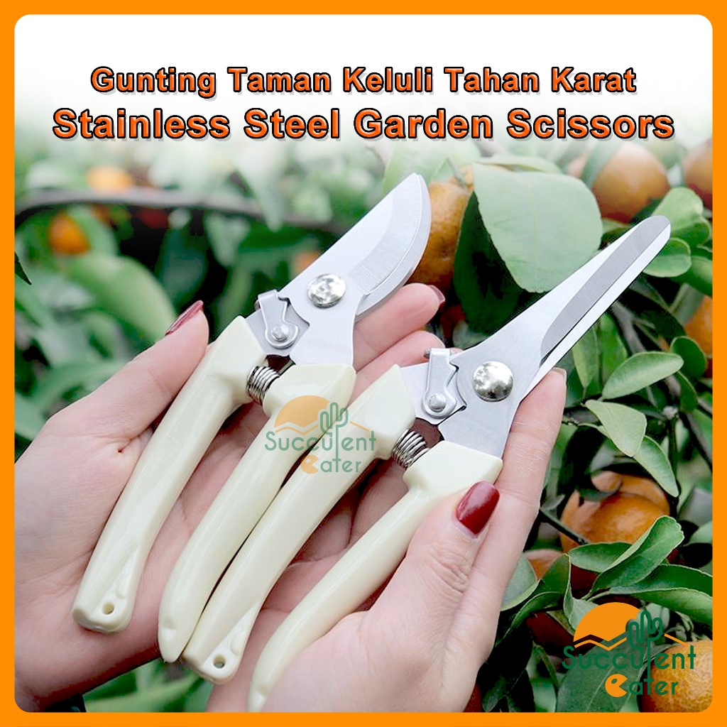 Stainless Steel Garden Scissors for tree branch Gunting Tanam Batang ...