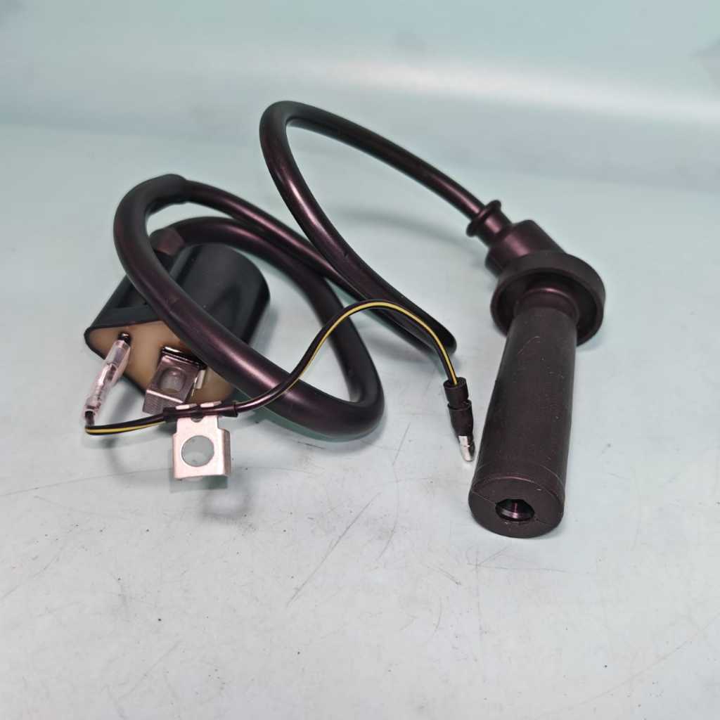 Hyosung GT650R/ GTR650 Magnet coil