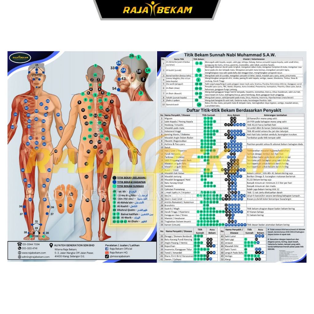 Poster Panduan Bekam / Poster 9in1 / Peta Titik Bekam A3 / Poster Titik