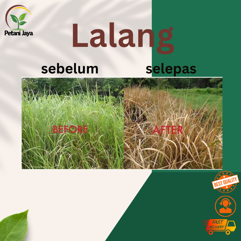 4L CMC Phosate136 Racun Rumput Dan Lalang Racun Rumput Paling Berkesan ...