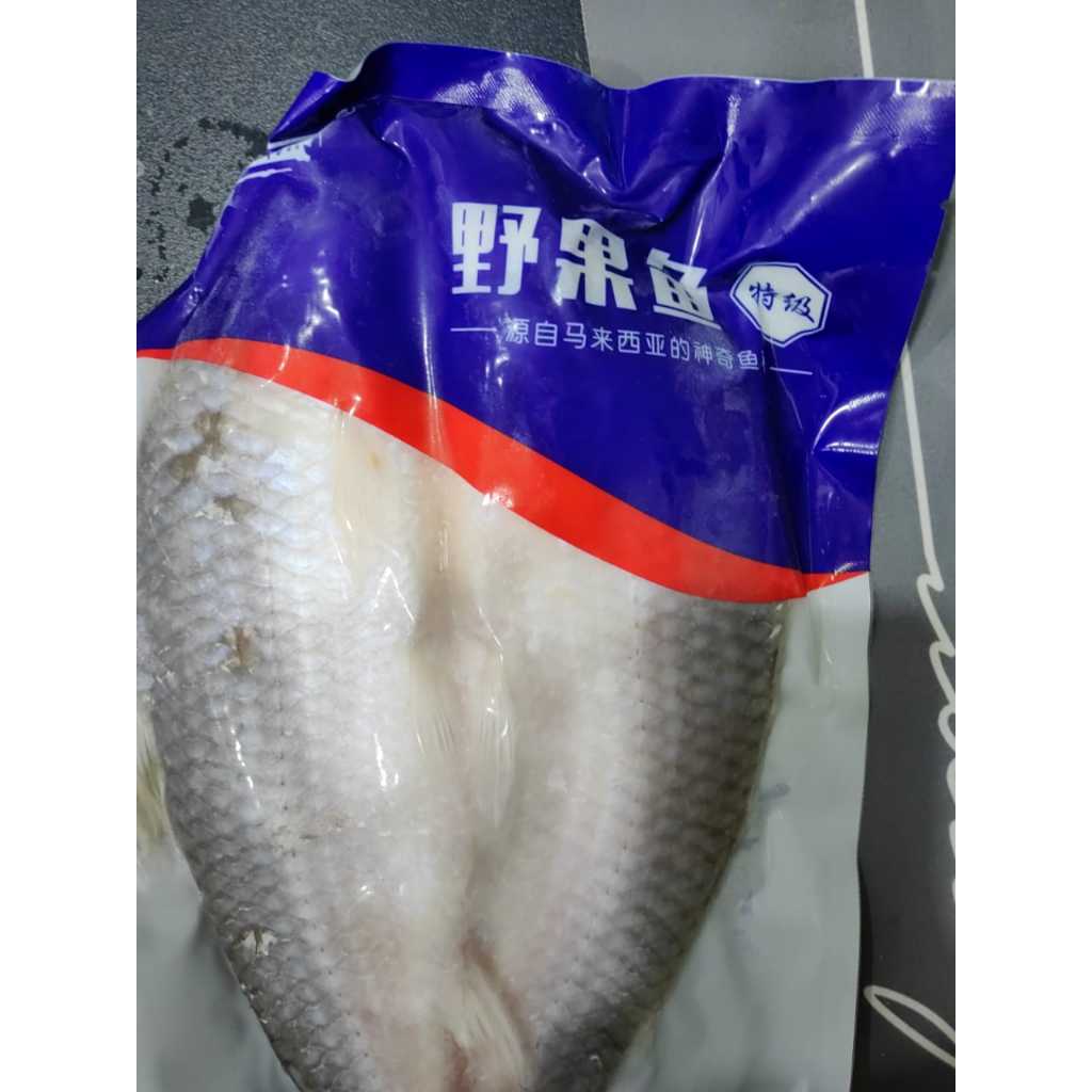 (批发）马来西亚忘不了鱼开背冷冻酒店餐厅商用700-800g /700-800g Empurau Fish (Now Only ...