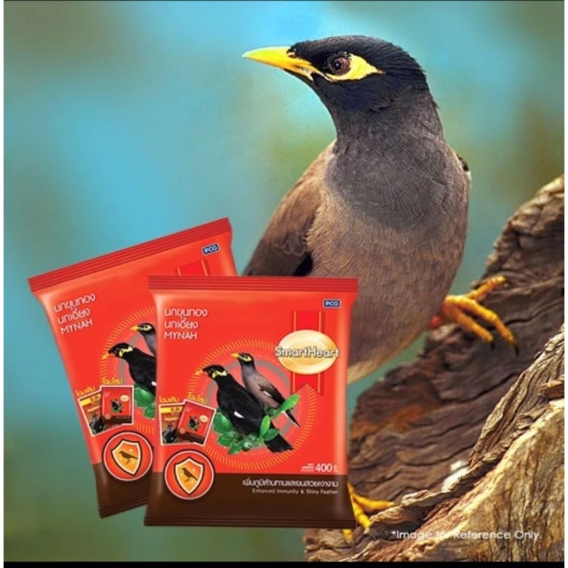 Smart Heart Mynah Bird Food 400g | Shopee Malaysia