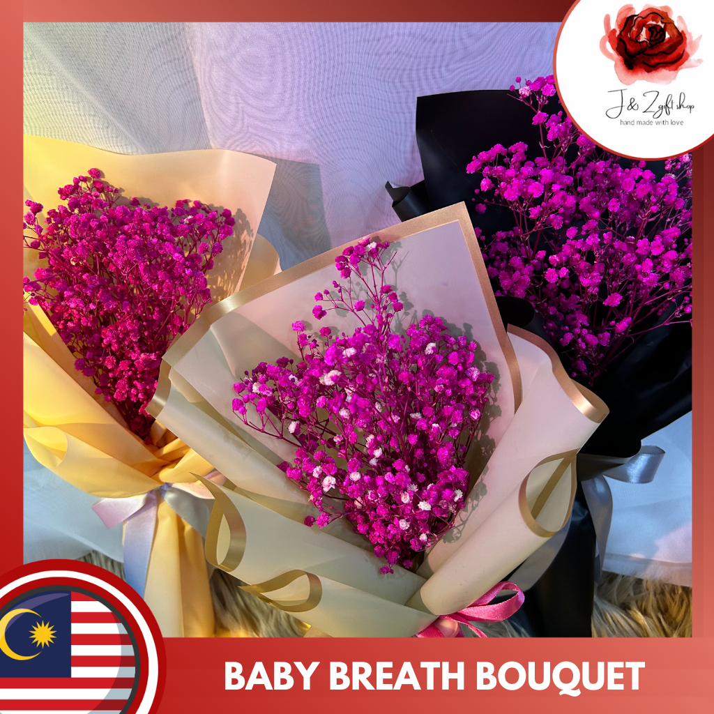 Pink Preserved Baby Breath Bunga Dried Dry Flower Bouquet Birthday ...