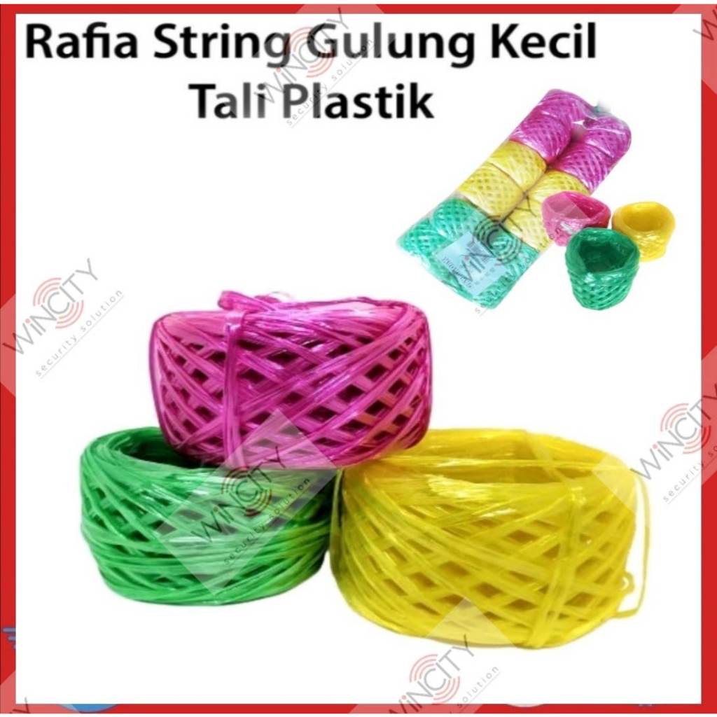 WSS 1 ROLL Tali Rafia Tali plastic 100gm+/-Raffia String / Plastic ...