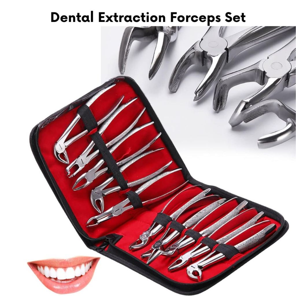10Pcs/Set Stainless Steel Dental Extraction Forceps Pliers Kit For