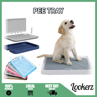 Dog clearance pee tray