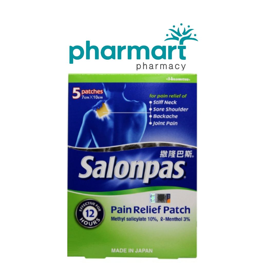 Hisamitsu Pain Relief Patch