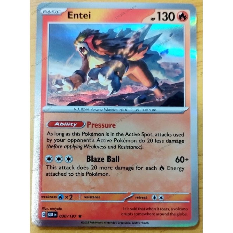 PTCG Entei 030/197 Holo Rare (READY STOCK) Shopee Malaysia