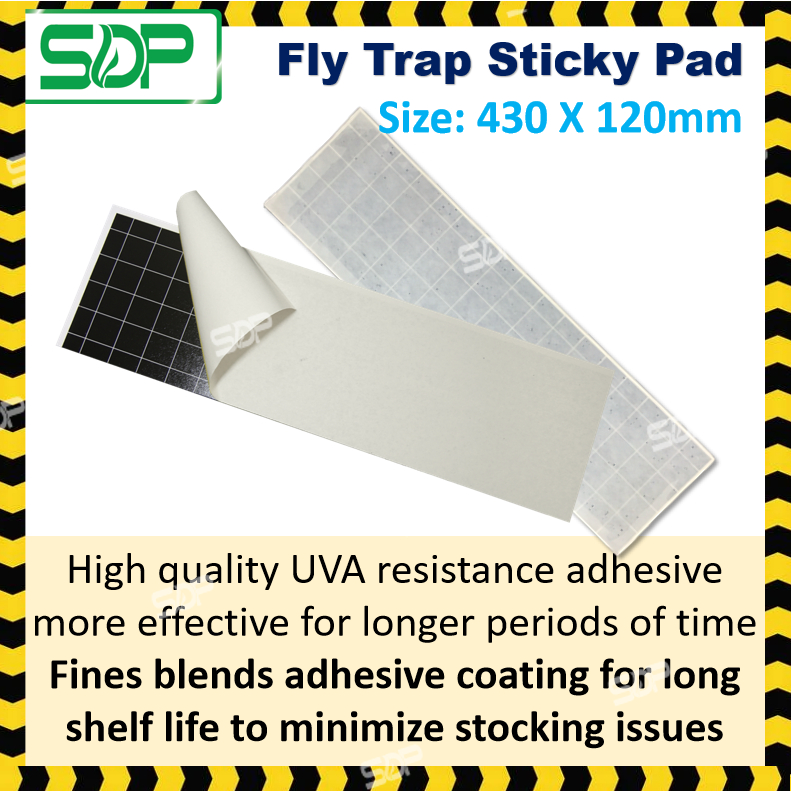 Fly Trap Premium Quality Sticky Pad RTG 43X12CMRadiance 30 Insect ...