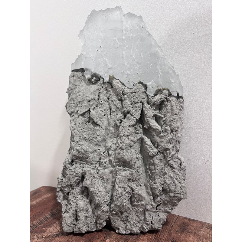 handmade platycerium cement + epoxy resin mounting board Shopee Malaysia