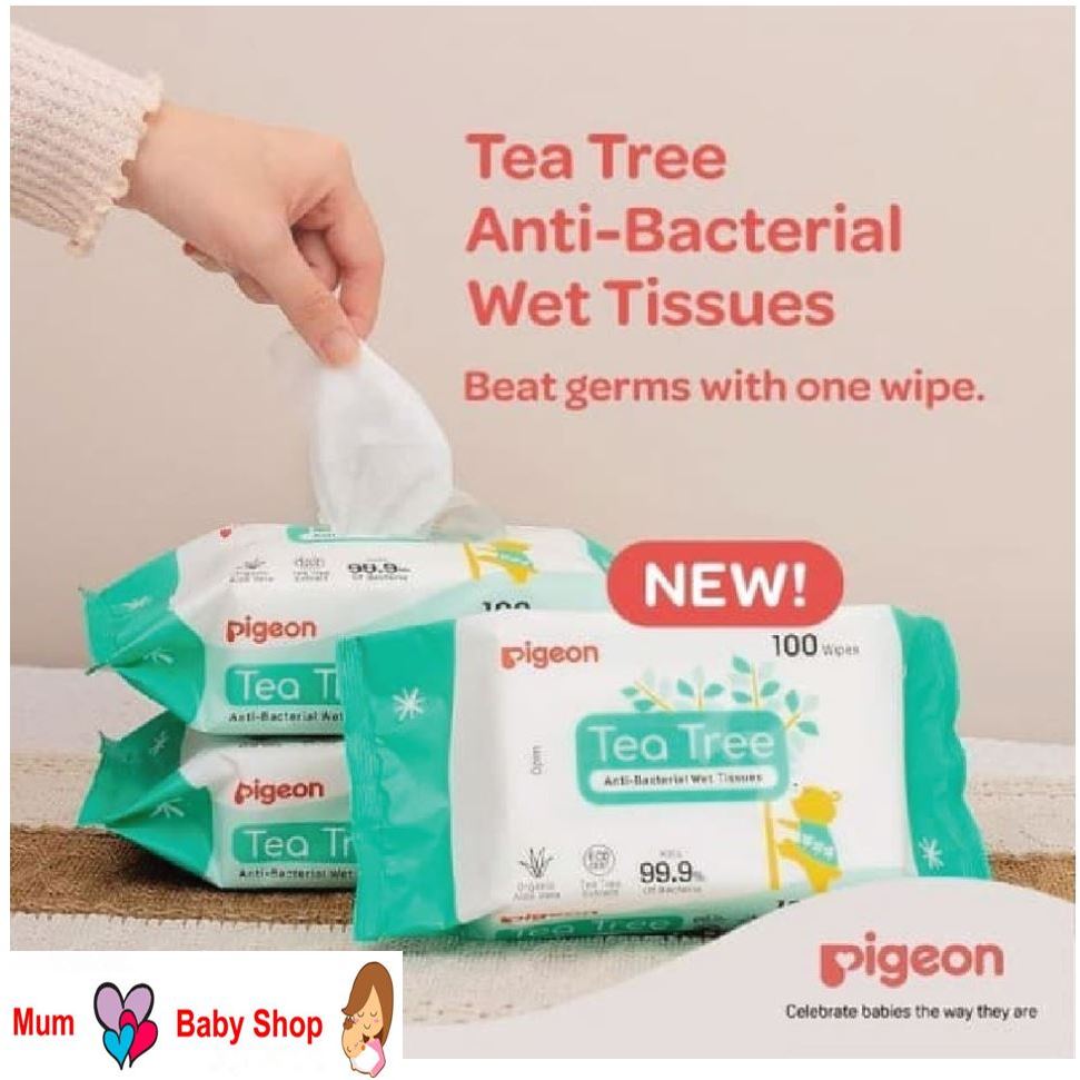 Pigeon Tea Tree Anti-Bacterial Wet Tissue (Expiry March 2026) | Shopee ...