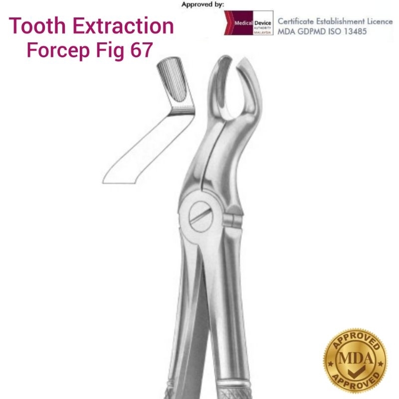 Dental Tooth Extraction Forceps Fig 67 upper third molars Adult ...