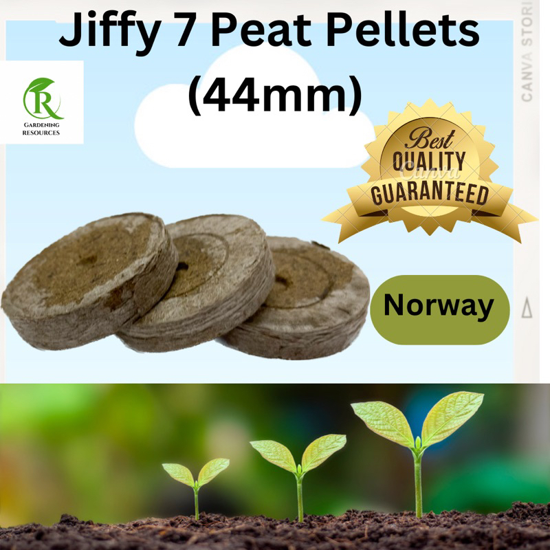 Jiffy-7 Easy – Vaschetta Per Semina Con 24 Blocchi Di Torba Pressata, 53x11cm, Per Germinazione E Talee