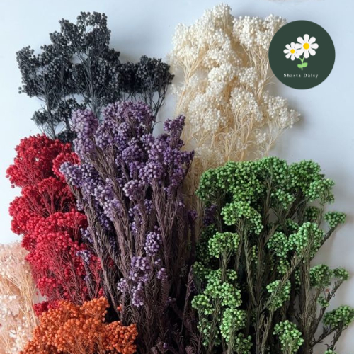 Grade A 70g Preserved Rice Flowers Bunga Millet Dried Flowers Dry ...